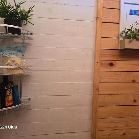 Royal Hammock-kralski Hamak